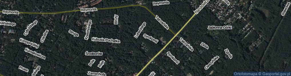 Zdjęcie satelitarne Rejtana Tadeusza ul.