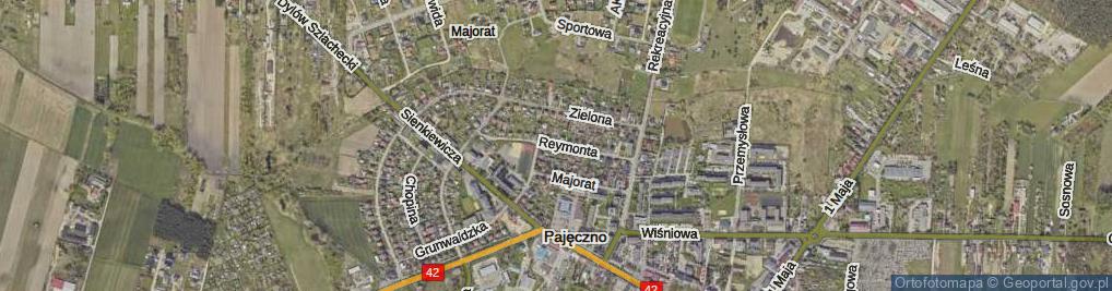 Zdjęcie satelitarne Reymonta Władysława ul.
