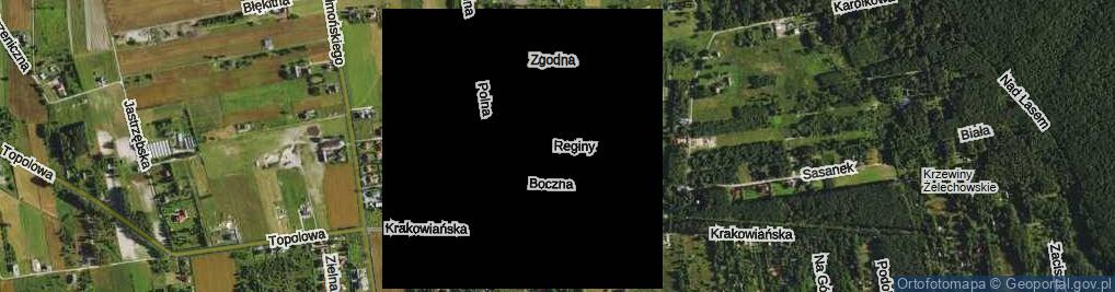 Zdjęcie satelitarne Reginy ul.