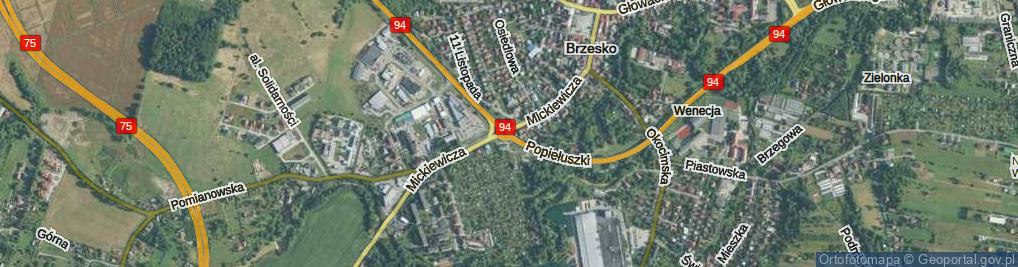 Zdjęcie satelitarne Rondo św. Jakuba Starszego rondo.