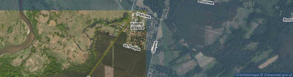 Zdjęcie satelitarne Różana ul.