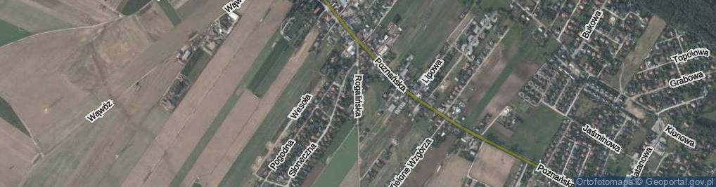 Zdjęcie satelitarne Rogalińska ul.