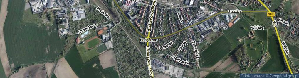 Zdjęcie satelitarne Rondo Czeskie rondo.