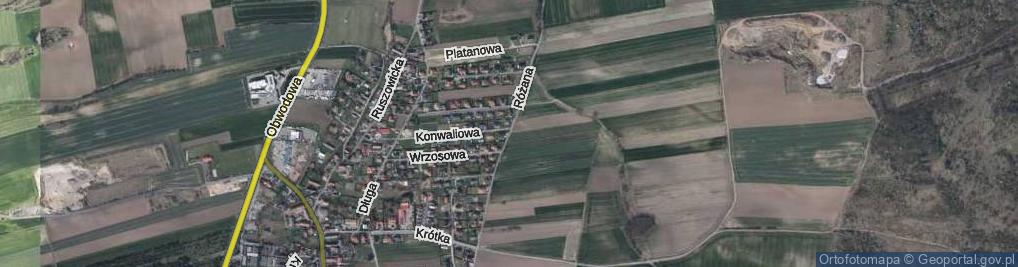 Zdjęcie satelitarne Różana ul.