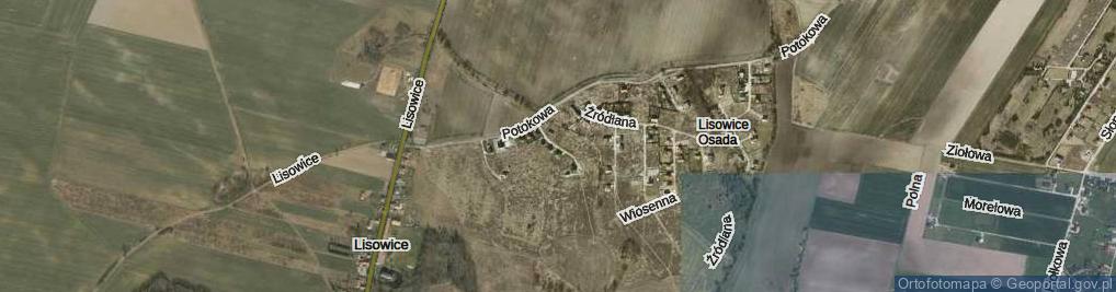 Zdjęcie satelitarne Różana ul.