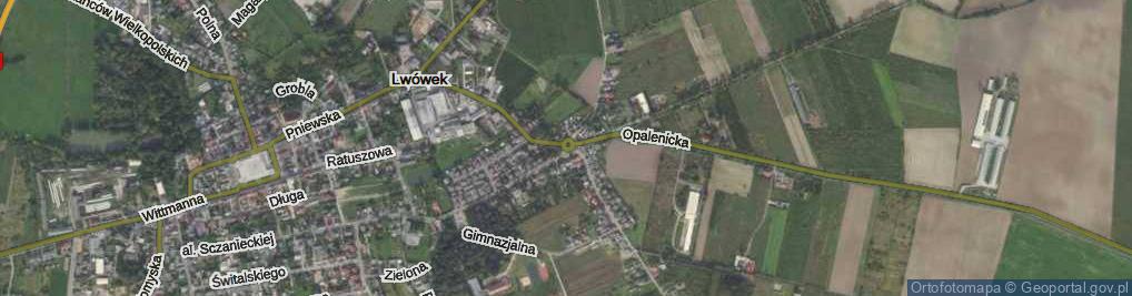 Zdjęcie satelitarne Rondo Partnerstwa Miast rondo.