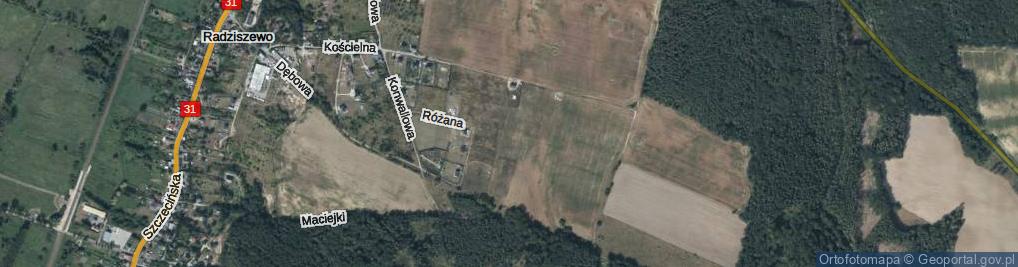 Zdjęcie satelitarne Różana ul.