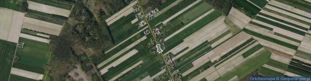 Zdjęcie satelitarne Rogi ul.