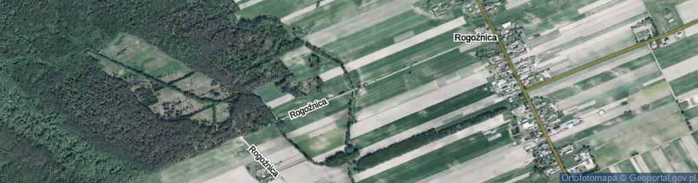 Zdjęcie satelitarne Rogoźnica ul.