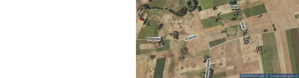 Zdjęcie satelitarne Rogóżki ul.