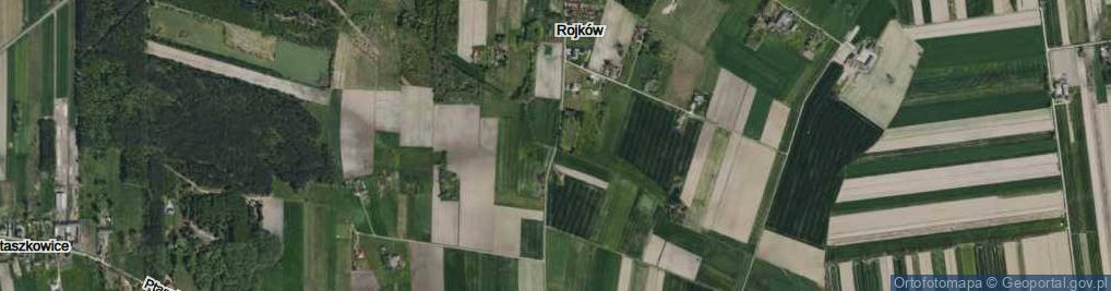 Zdjęcie satelitarne Rojków ul.