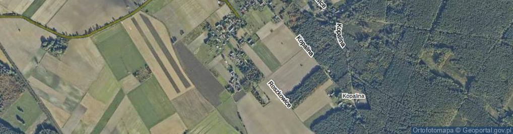 Zdjęcie satelitarne Roszkowice ul.