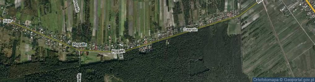 Zdjęcie satelitarne Rozalin ul.