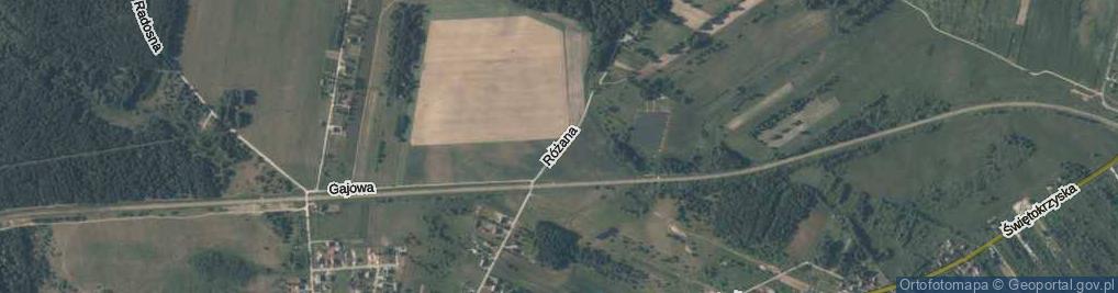 Zdjęcie satelitarne Różana ul.