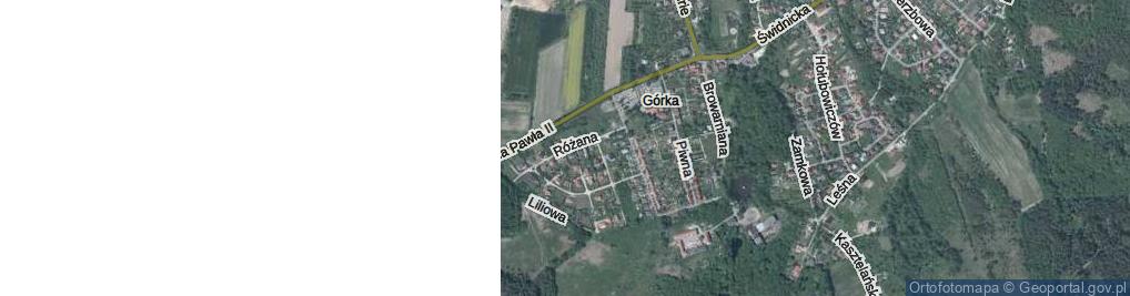 Zdjęcie satelitarne Różana ul.