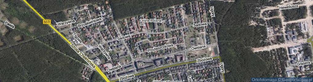 Zdjęcie satelitarne Rodzynkowa ul.