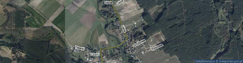 Zdjęcie satelitarne Różana ul.