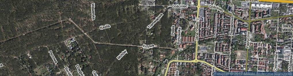 Zdjęcie satelitarne Rolna ul.