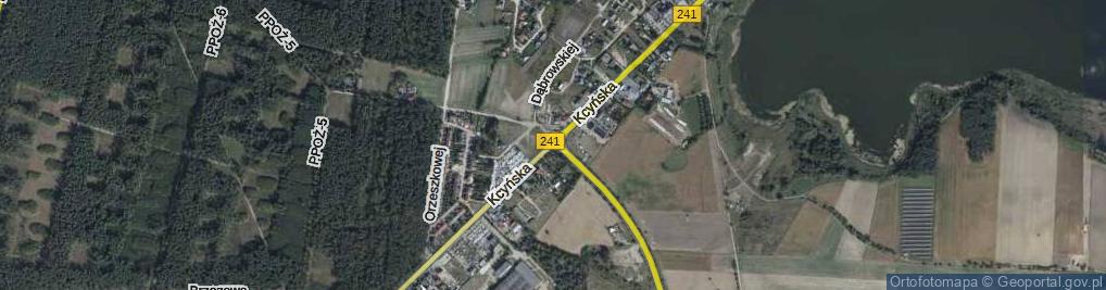 Zdjęcie satelitarne Rondo Kaliska rondo.