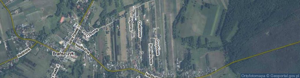 Zdjęcie satelitarne Rumiankowa ul.