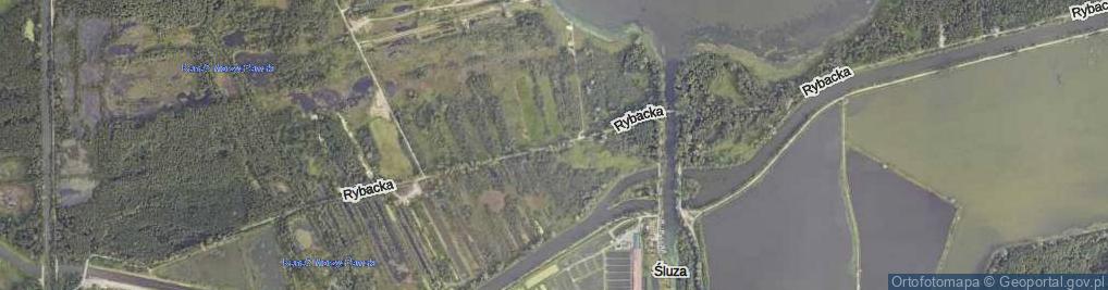 Zdjęcie satelitarne Rybacka ul.