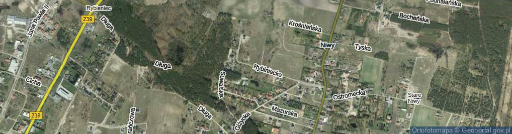 Zdjęcie satelitarne Rybiniecka ul.