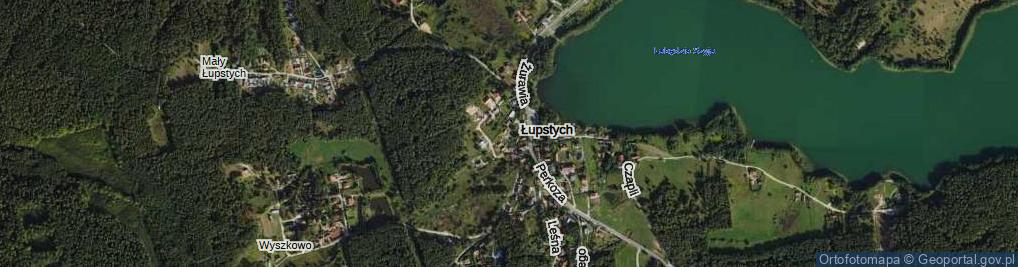 Zdjęcie satelitarne Rybitwy ul.