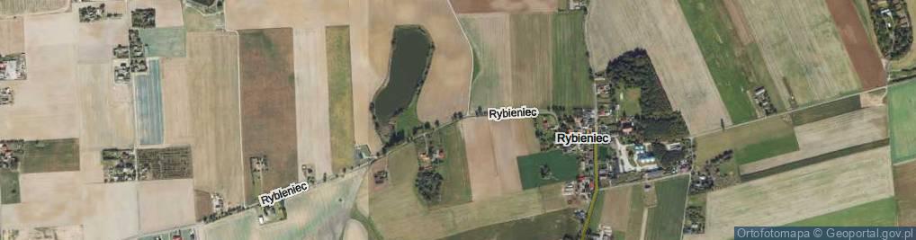 Zdjęcie satelitarne Rybieniec ul.