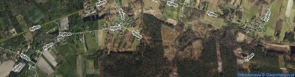 Zdjęcie satelitarne Rybno ul.