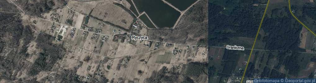 Zdjęcie satelitarne Ryczyca ul.