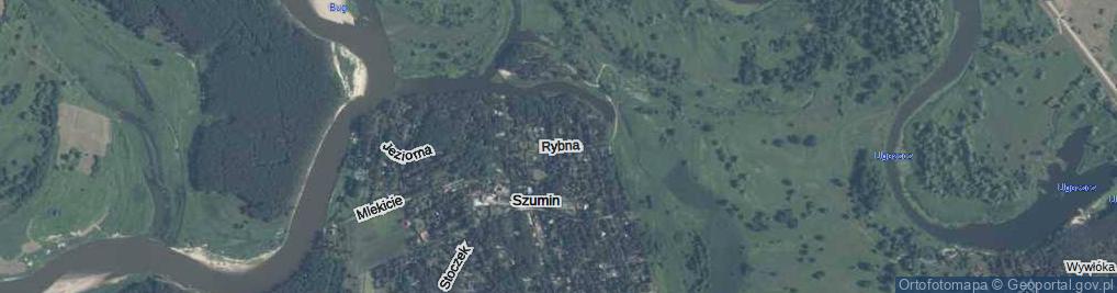 Zdjęcie satelitarne Rybna ul.