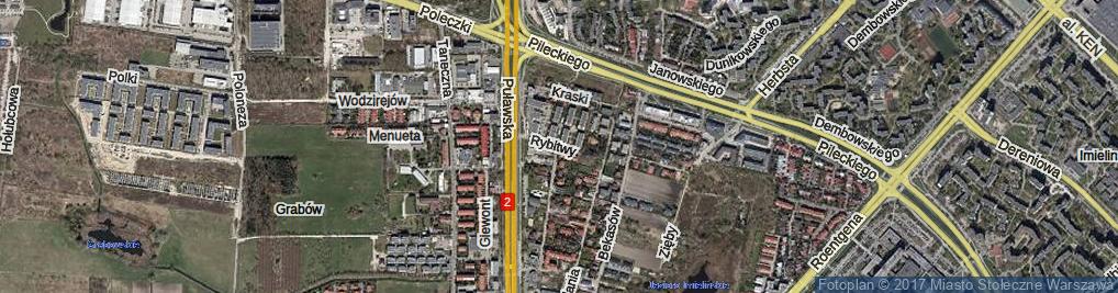 Zdjęcie satelitarne Rybitwy ul.