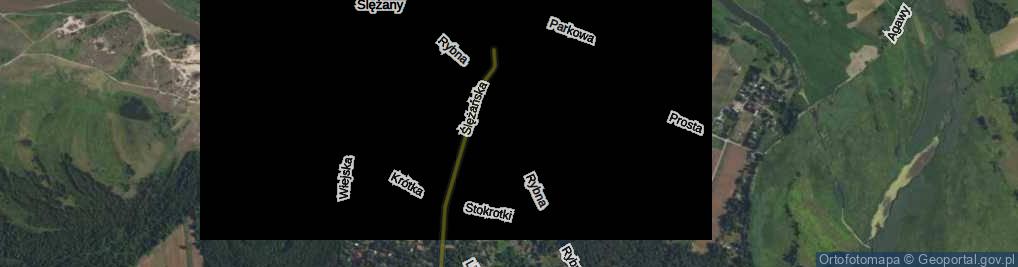 Zdjęcie satelitarne Rybna ul.