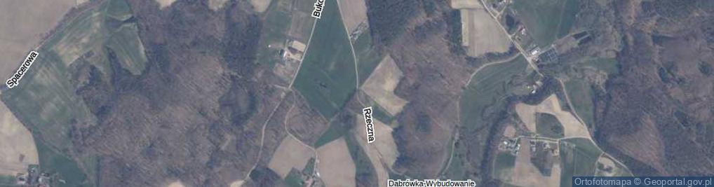 Zdjęcie satelitarne Rzeczna ul.