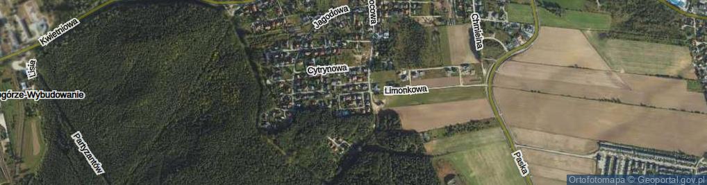 Zdjęcie satelitarne Rzepakowa ul.