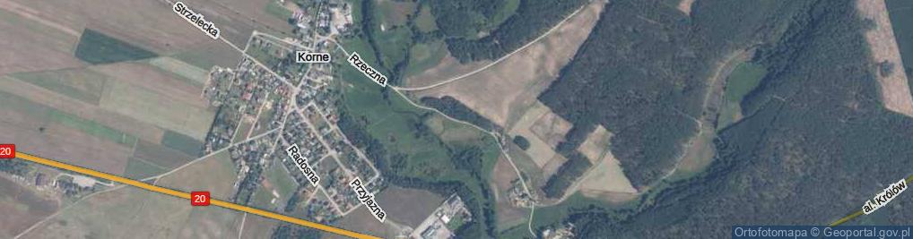 Zdjęcie satelitarne Rzeczna ul.