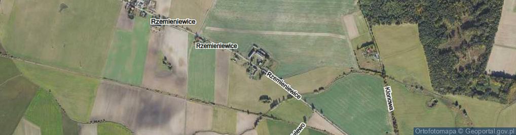Zdjęcie satelitarne Rzemieniewice ul.