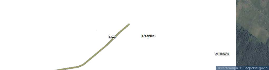 Zdjęcie satelitarne Rząbiec ul.