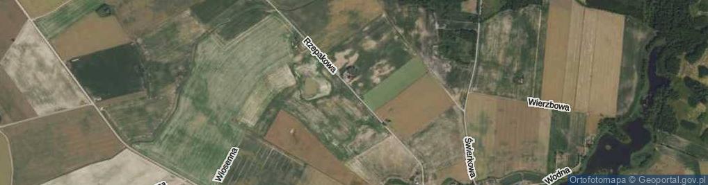 Zdjęcie satelitarne Rzepakowa ul.