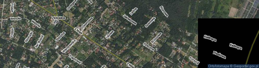 Zdjęcie satelitarne Rzeczna ul.