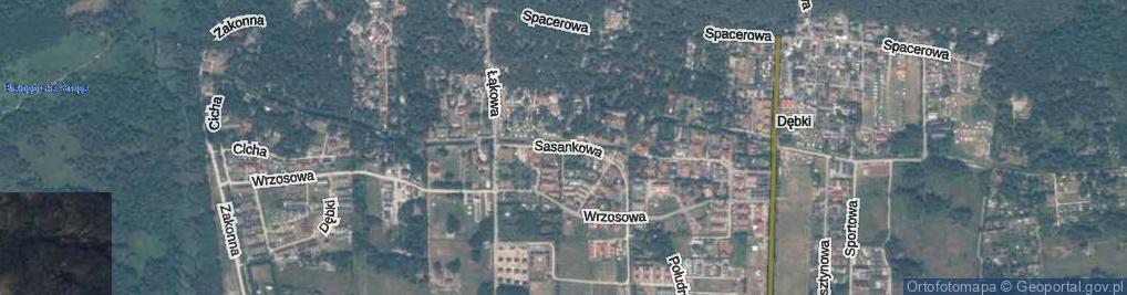 Zdjęcie satelitarne Sasankowa ul.