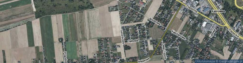 Zdjęcie satelitarne Sasankowa ul.