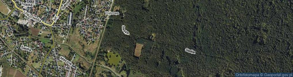 Zdjęcie satelitarne Saska ul.