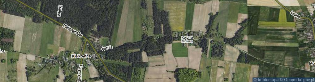 Zdjęcie satelitarne Sarnia ul.