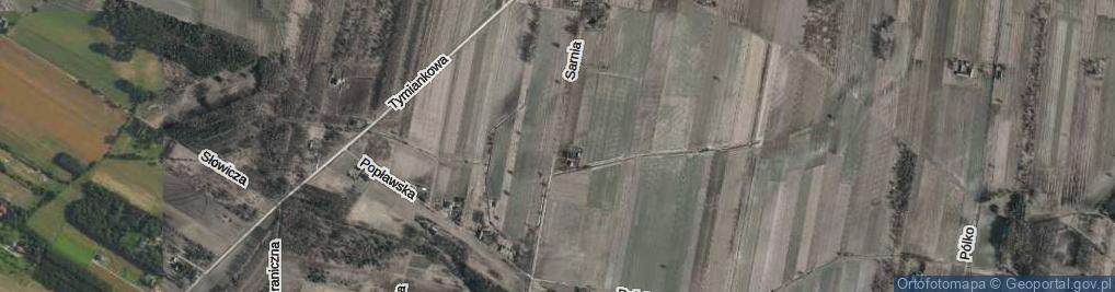 Zdjęcie satelitarne Sarnia ul.