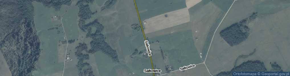 Zdjęcie satelitarne Sałkowice ul.