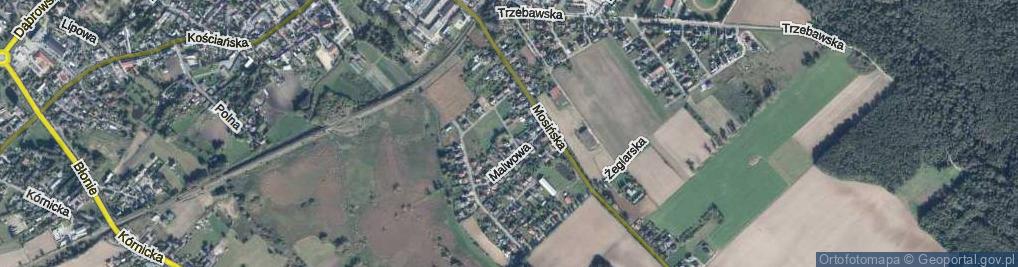 Zdjęcie satelitarne Sasankowa ul.