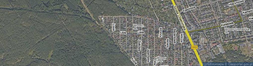 Zdjęcie satelitarne Sarnia ul.