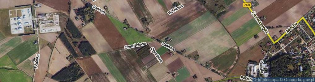 Zdjęcie satelitarne Sadowa ul.