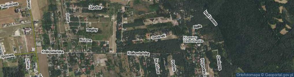Zdjęcie satelitarne Sasanek ul.